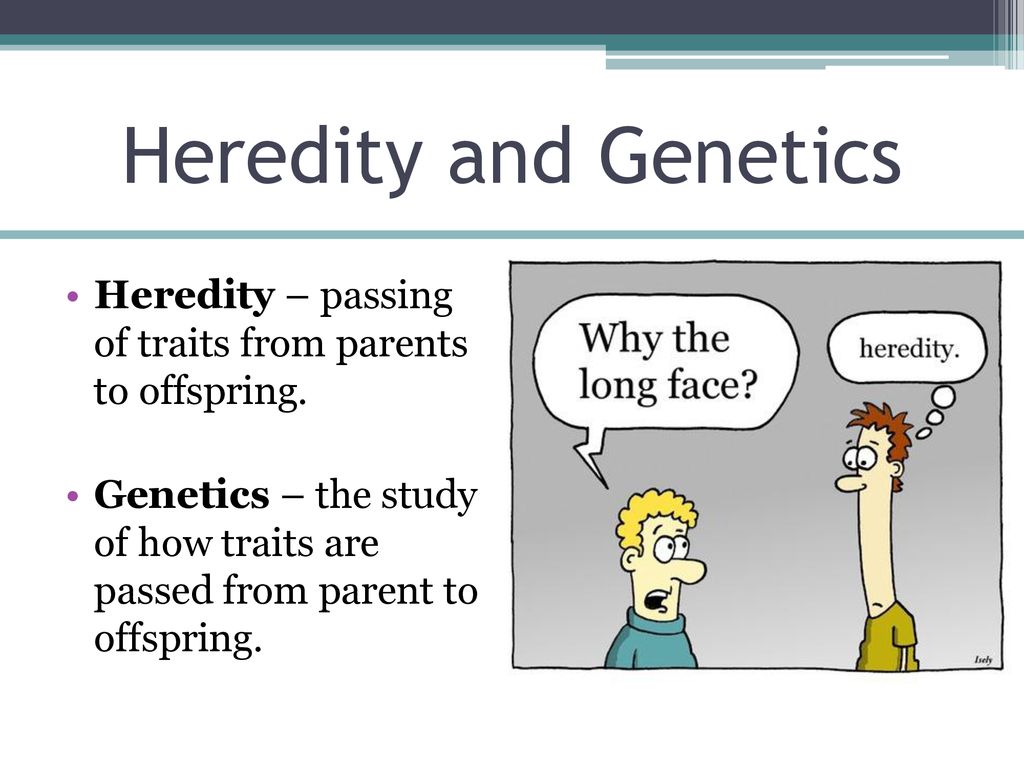 What store is heredity